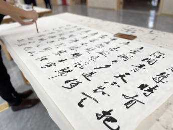 墨香四溢 汉中市书法家协会携手西乡县博物馆共襄书法盛举